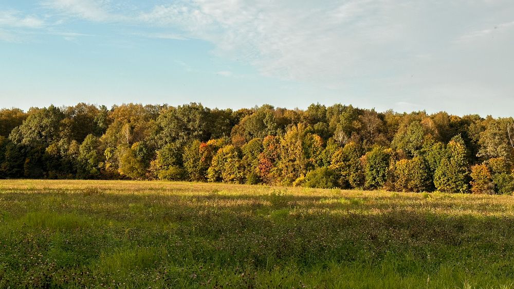 Photograph by Хирдина Екатерина