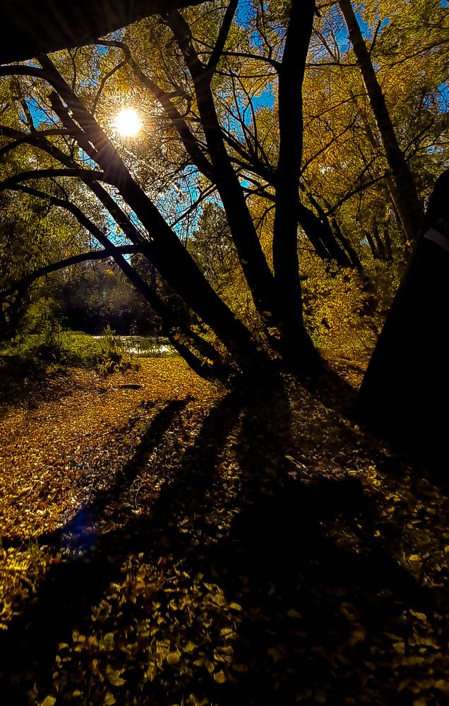 Photograph by Ксения