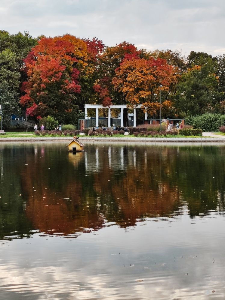 Photograph by Полина Белокопытова