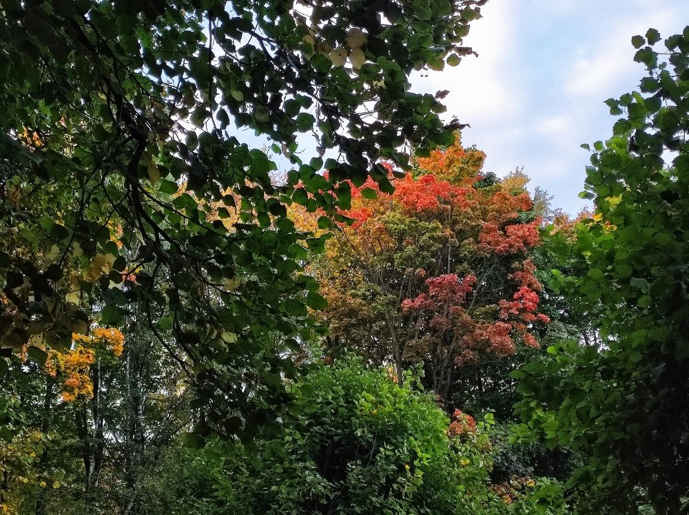 Photograph by Полина Белокопытова