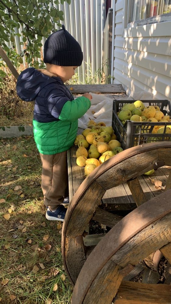 Photograph by Аседач Александр