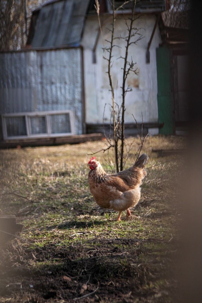 Photograph by Юлия Журавлёва