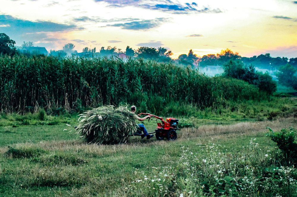 Photograph by Юлия Жукова