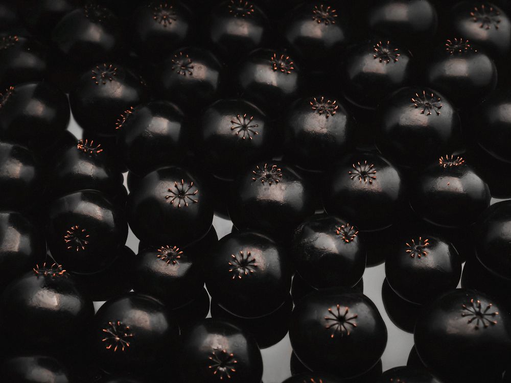 Photograph by Захарова Надежда