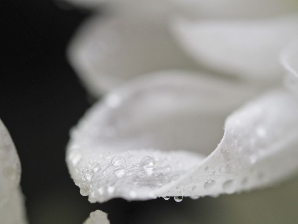 Photograph by Владимир Боровский