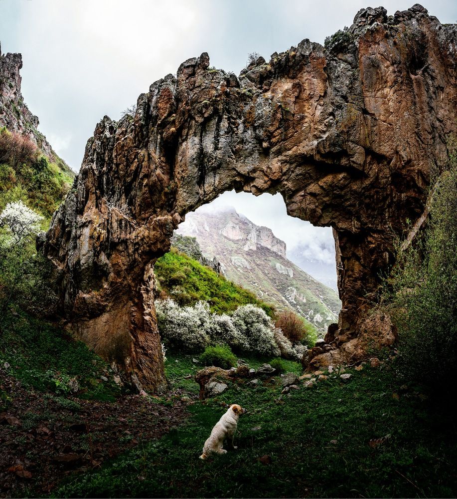 Photograph by Karasev Pavel