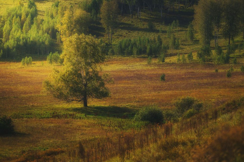 Фотография автора Виталий Сурков
