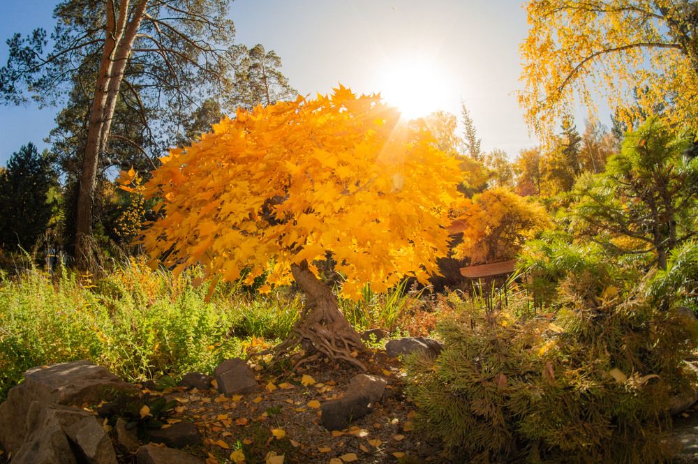 Фотография автора Виталий Сурков