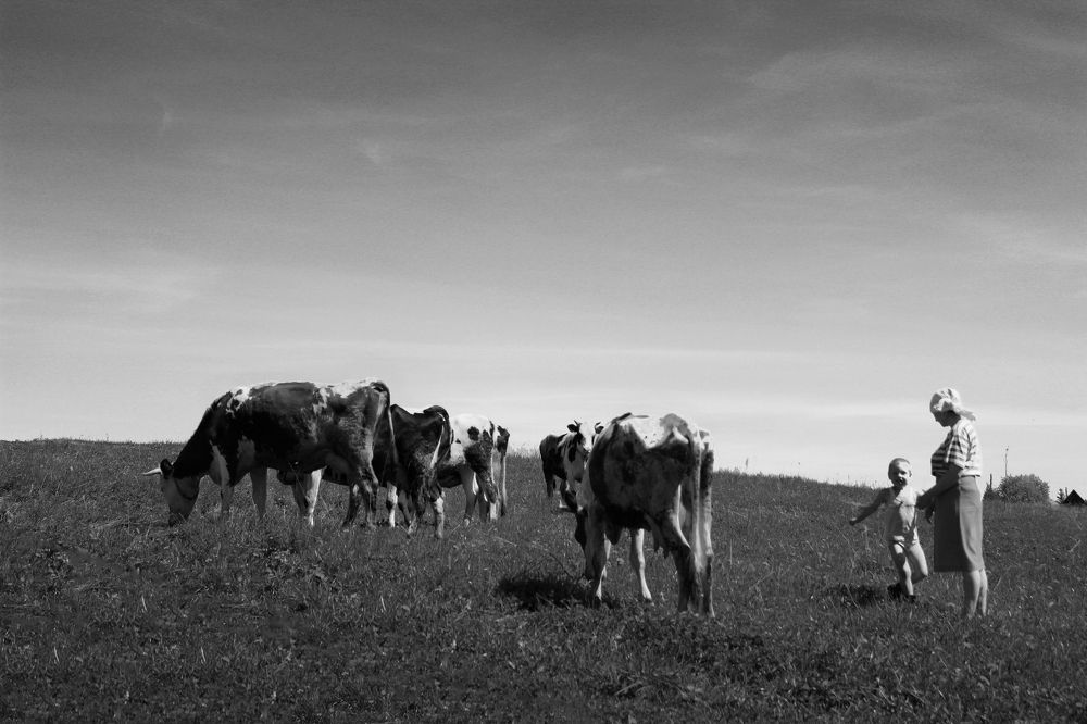 Photograph by Юлия Трап