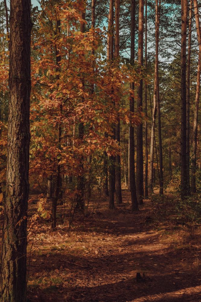Фотография автора Ксения Вабищевич