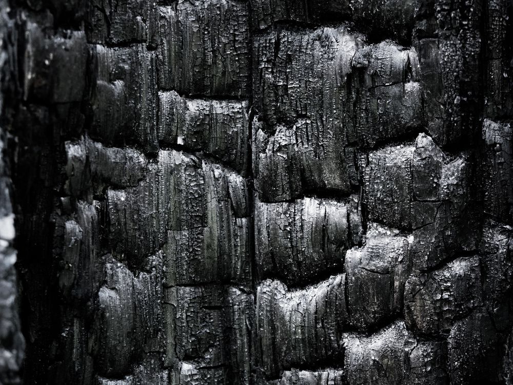 Photograph by Владимир Боровский