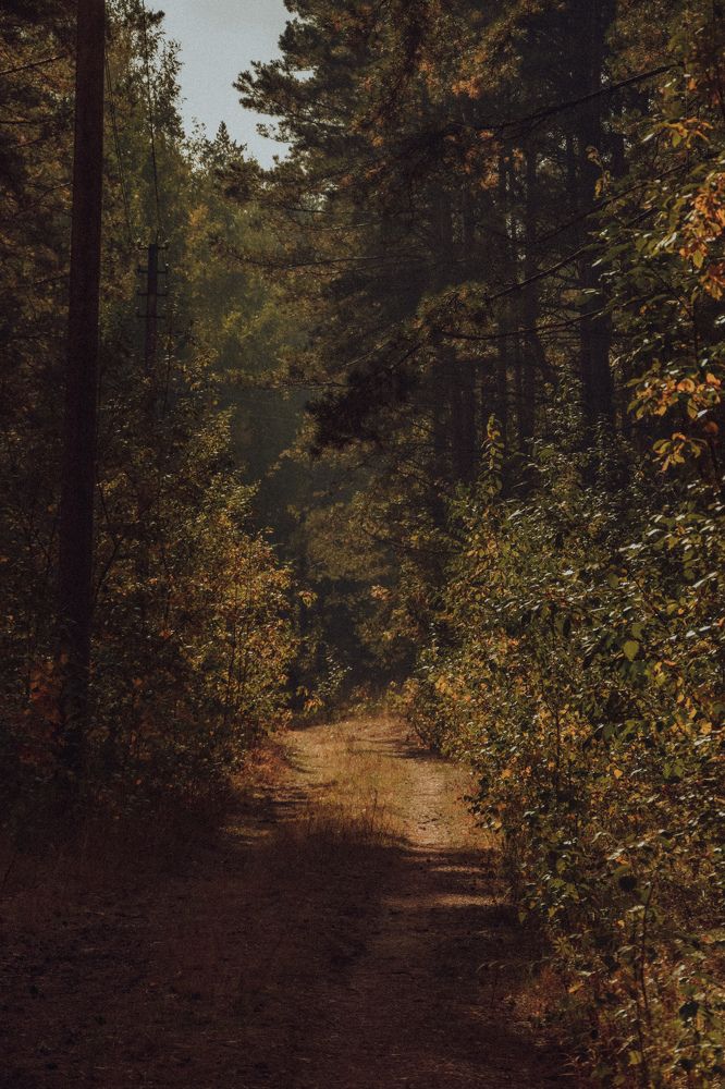 Фотография автора Ксения Вабищевич