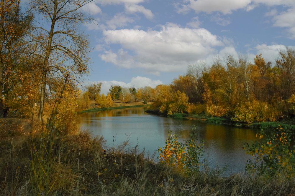 Photograph by Ирина Шибитова