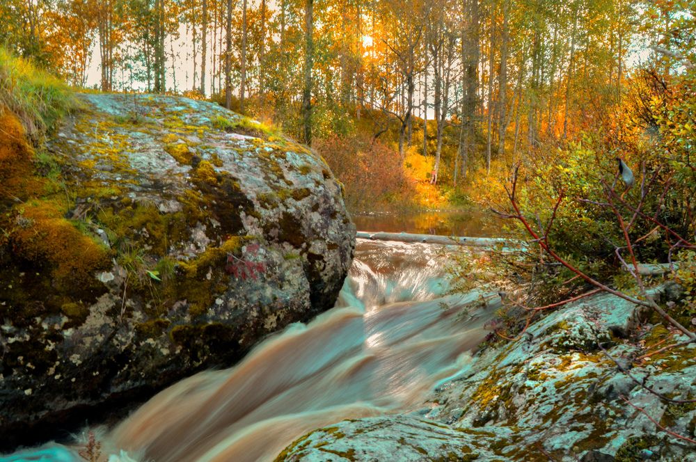 Photograph by Екатерина Казарцева