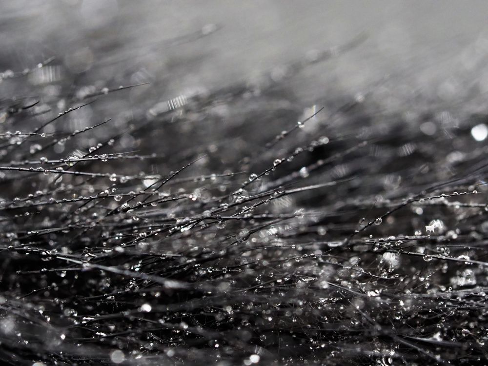 Photograph by Владимир Боровский