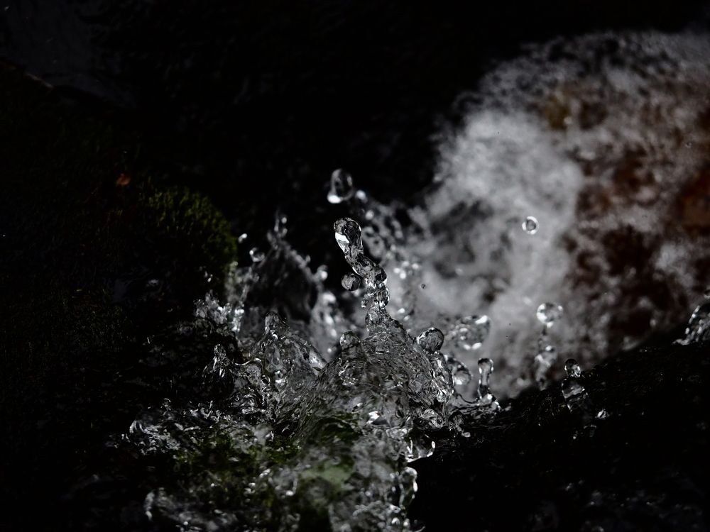 Photograph by Владимир Боровский