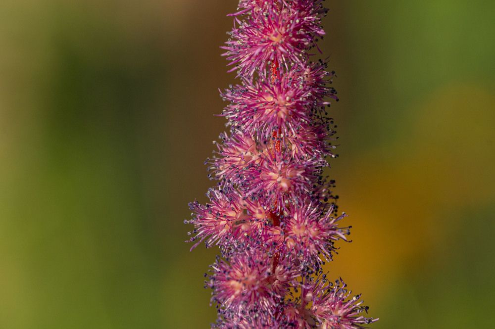 Фотография автора Виталий Сурков