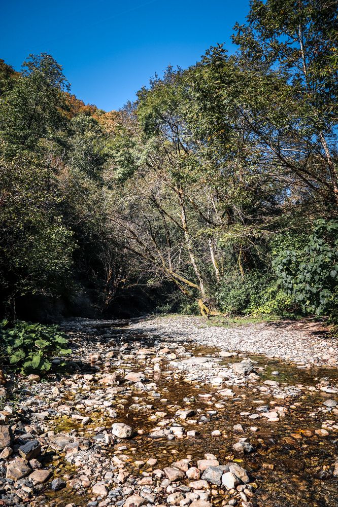 Photograph by Игорь Чечин