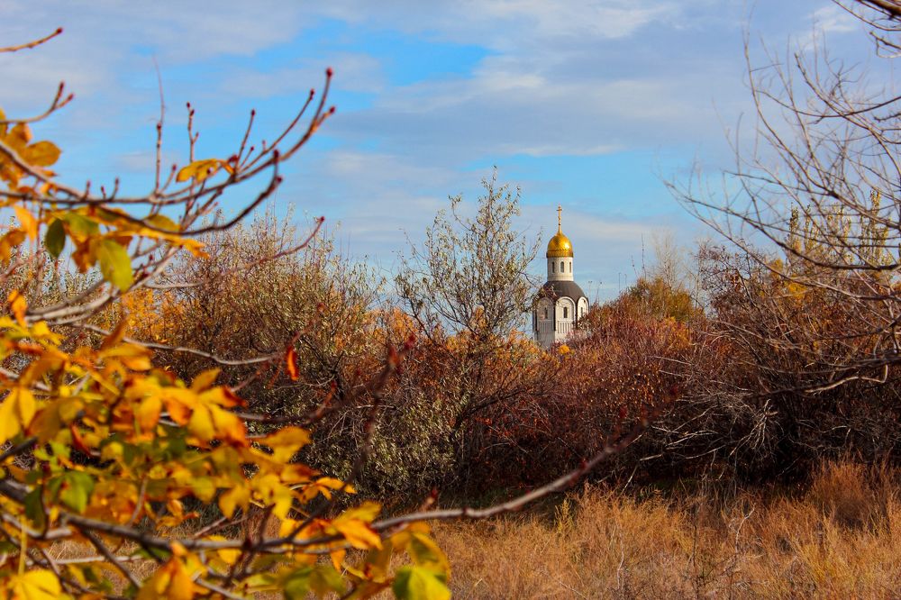 Photograph by Ирина Шибитова