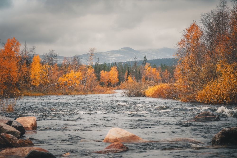 Photograph by Александр Ворошилов