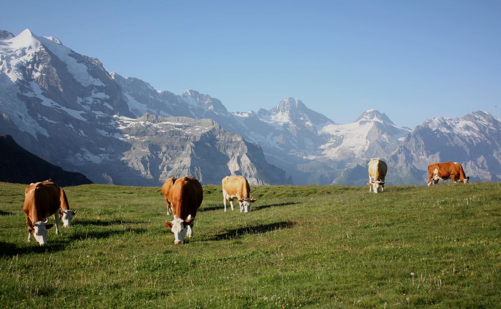 Фотография автора Наталья Белова