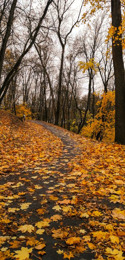 Photograph by Наталья Клячина