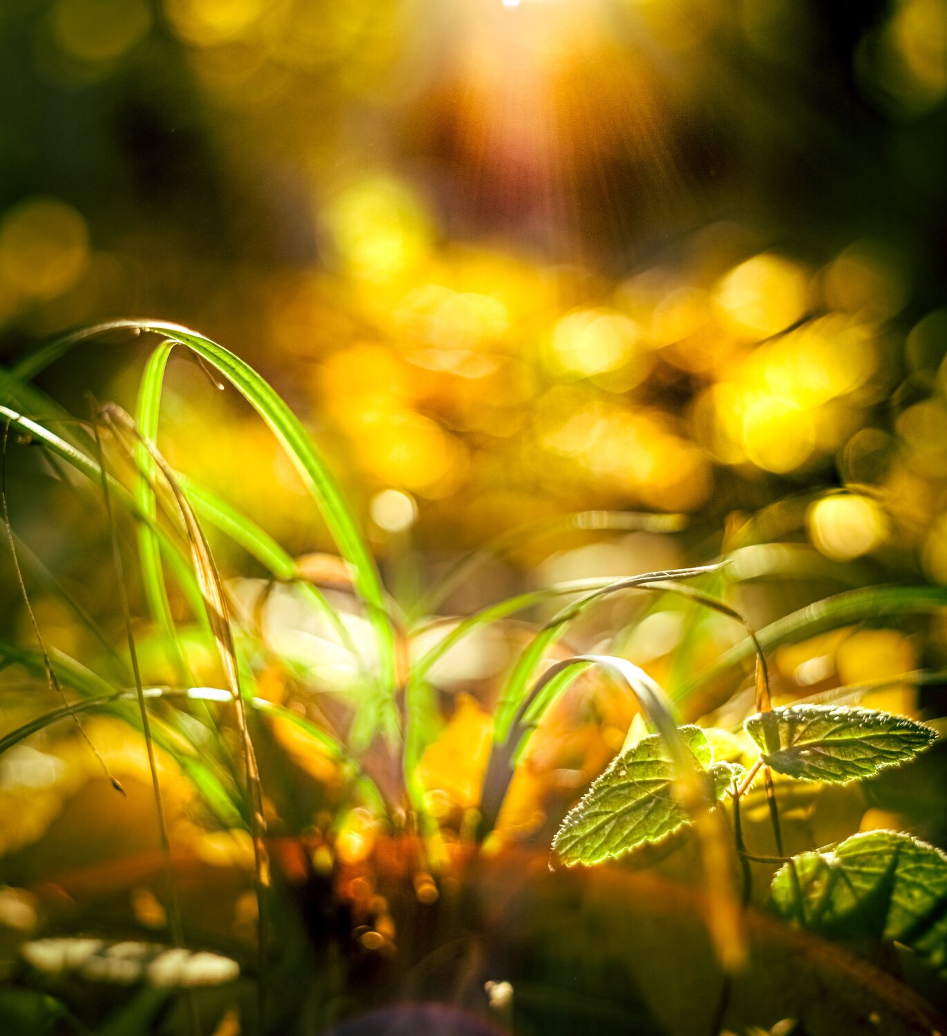 Photo #9583147