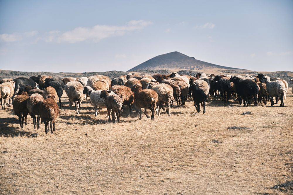 Фотография автора Владимир Эделев