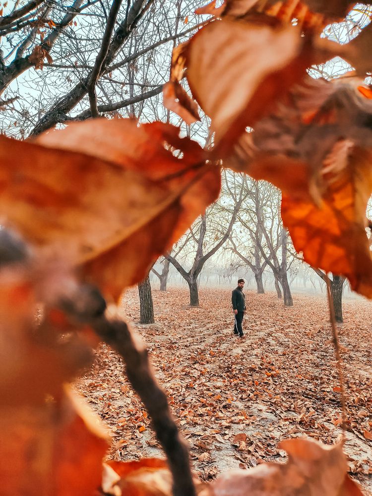 Photograph by Mohammad Aamir