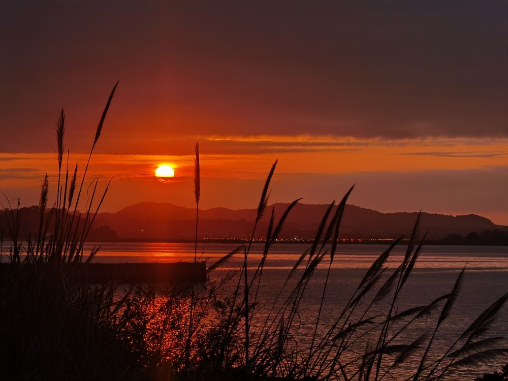 Фотография автора Алексей Головатый