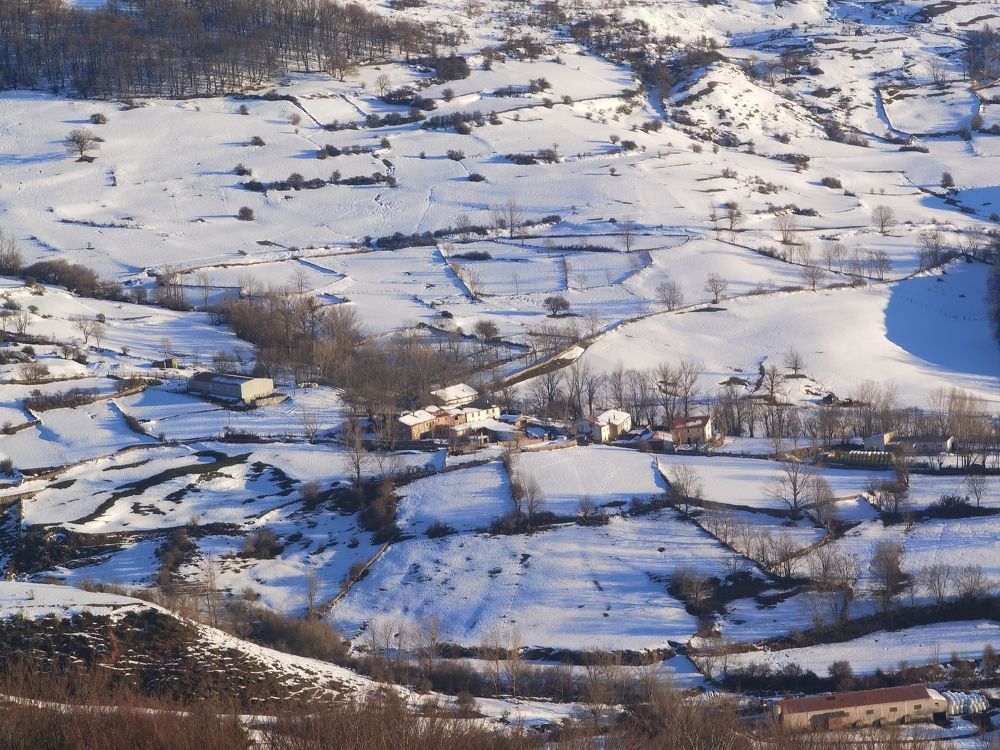 Фотография автора Алексей Головатый