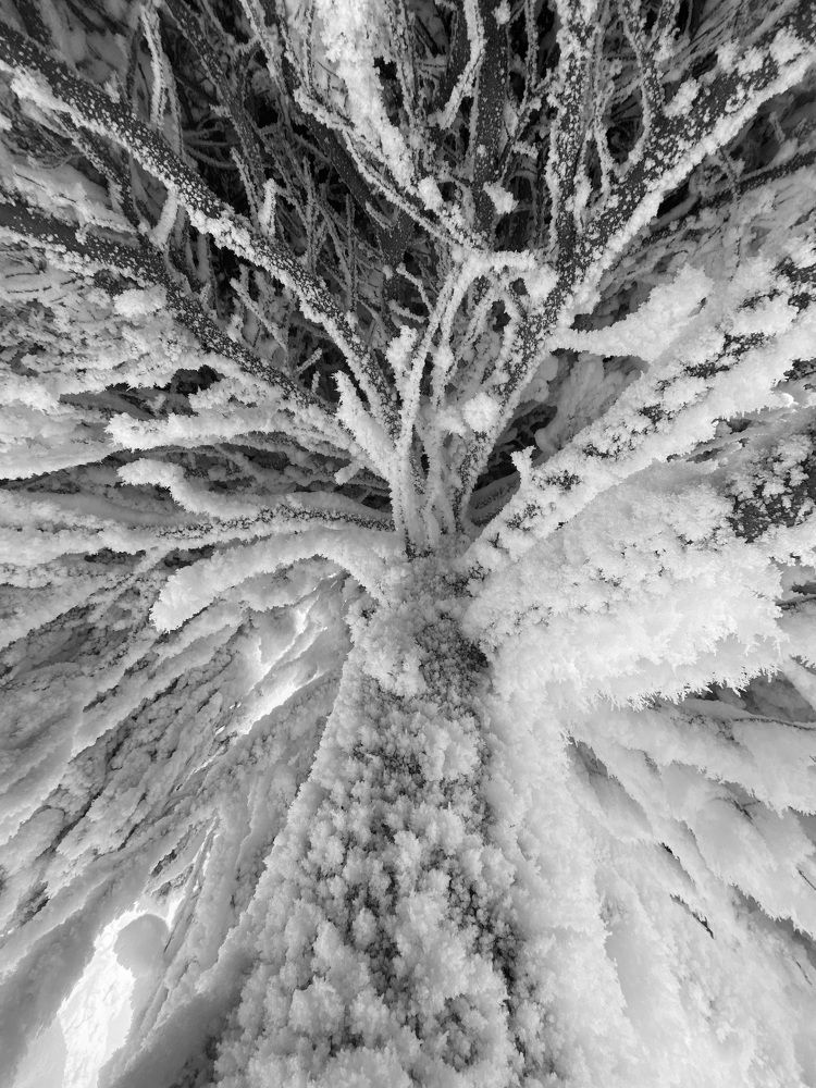 Photograph by Евгения