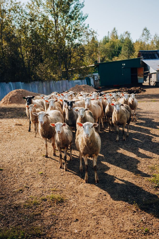 Photograph by Анастасия Тен