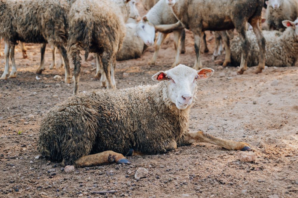 Photograph by Анастасия Тен