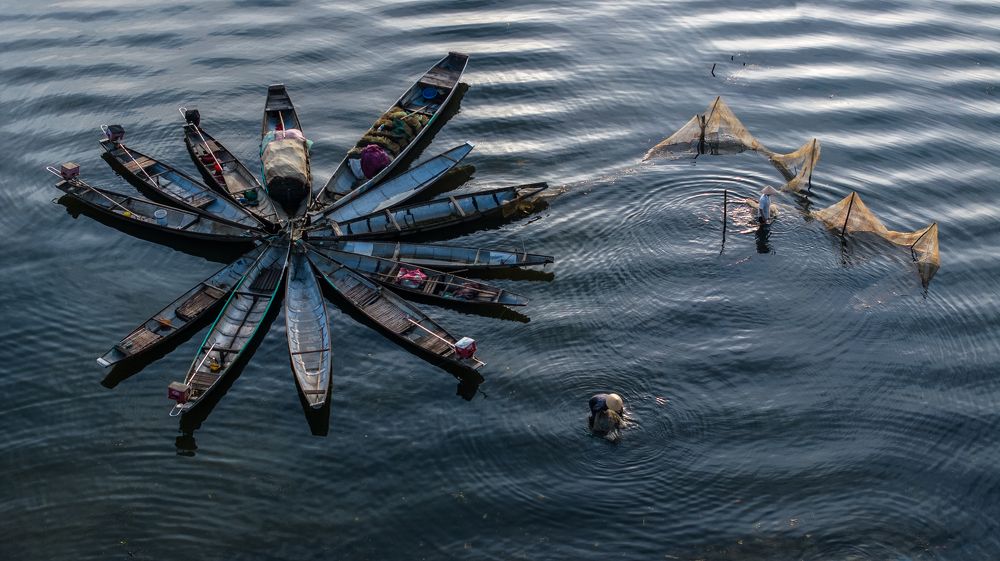Фотография автора Sơn nguyễn ngọc