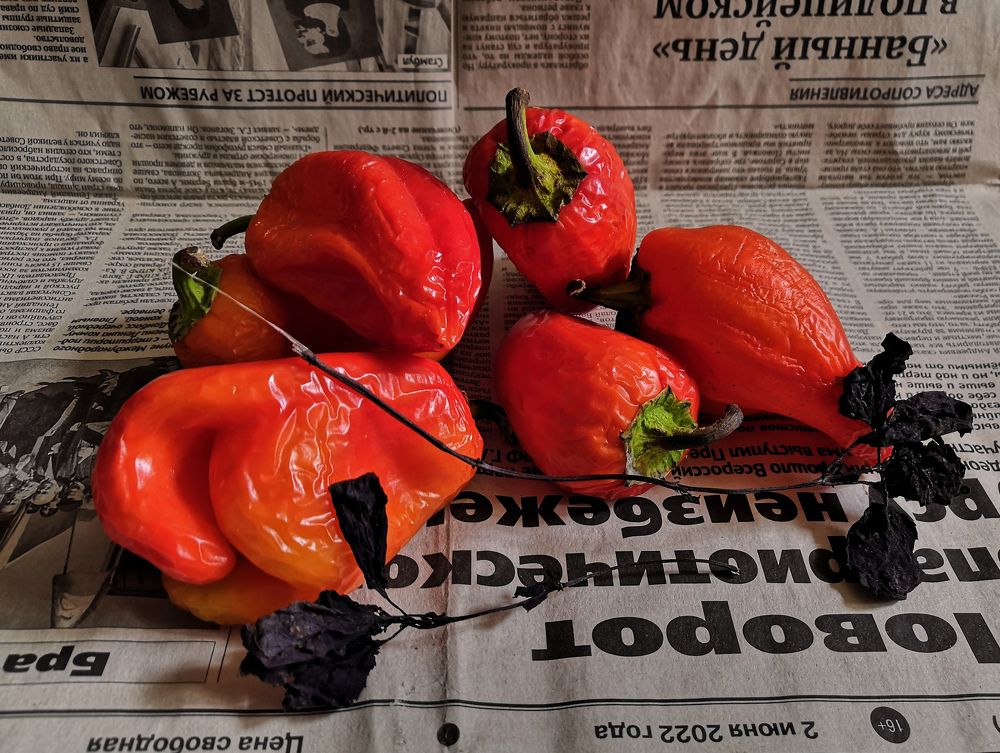 Фотография автора Андрей Данильсон