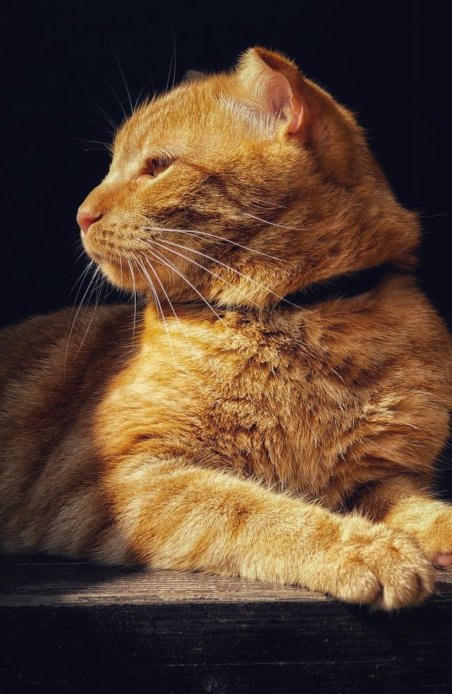 Photograph by Евгения Акишева