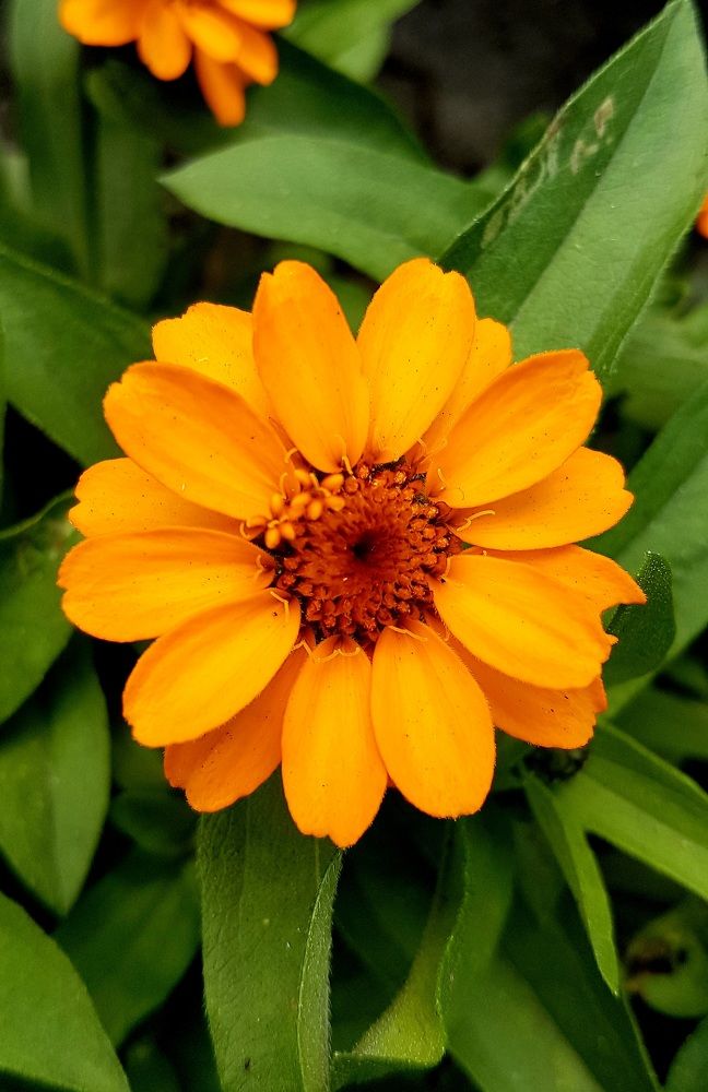 Photograph by Марина Козлова