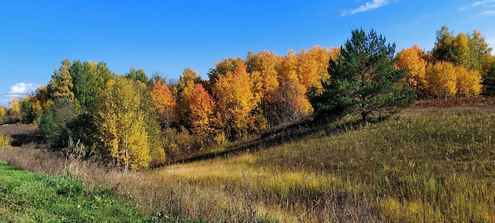 Photograph by Наталья Дубовкина