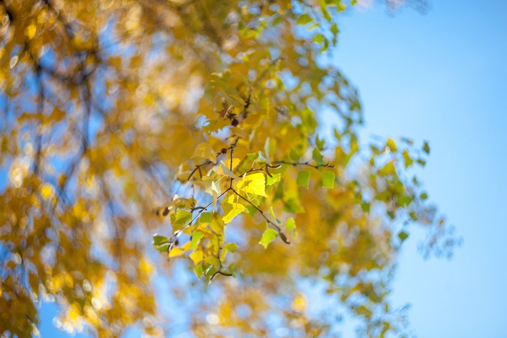 Photograph by Сагдиева Эльвира