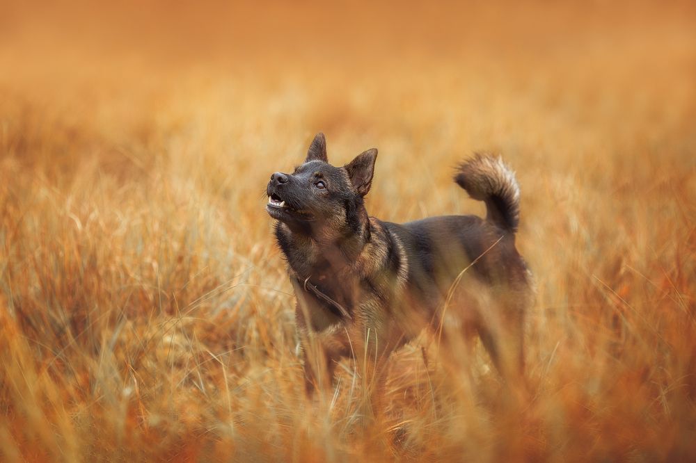 Photograph by Алёна Соболева