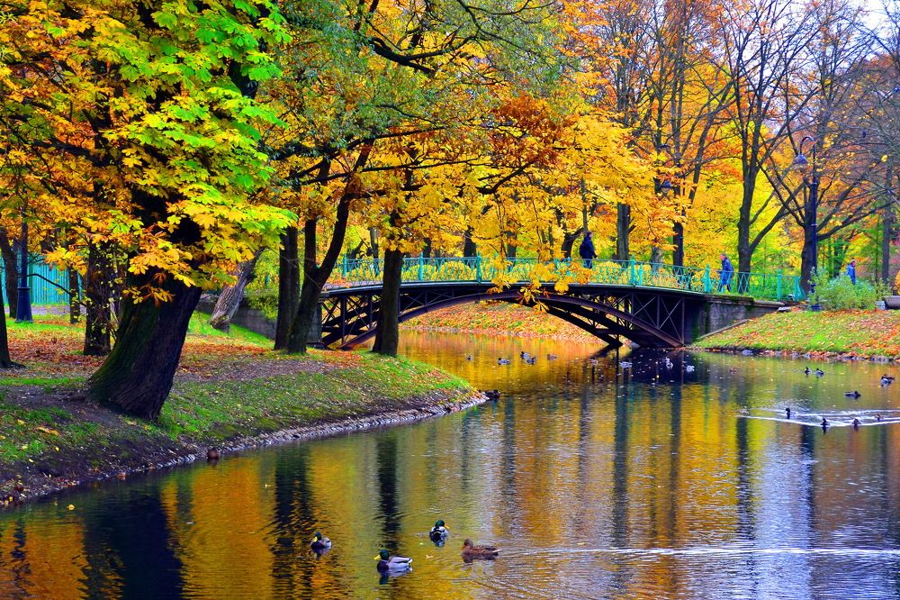 Photograph by Дмитрий Волков