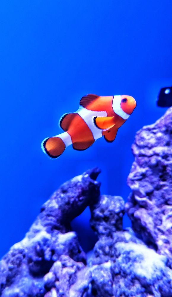 Photograph by Евгения Акишева