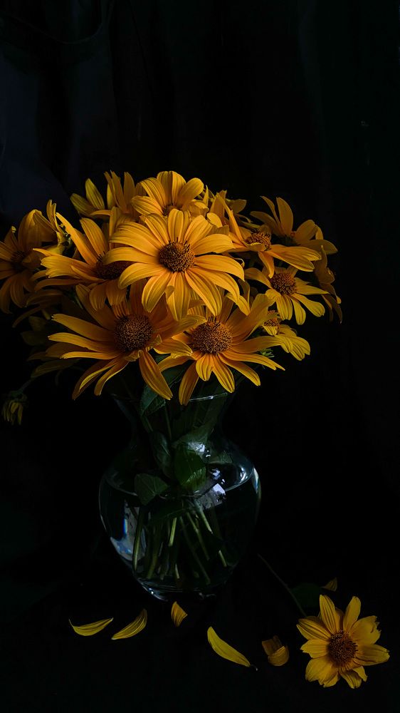 Фотография автора Лариса Гришкевич