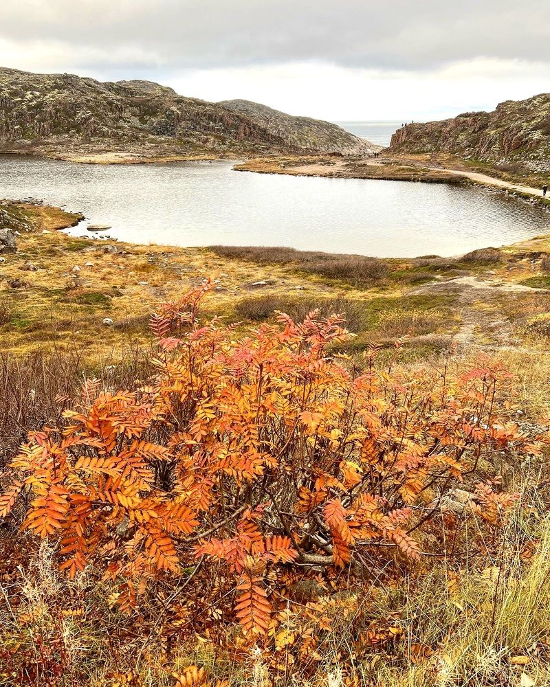 Photograph by Александра Акси