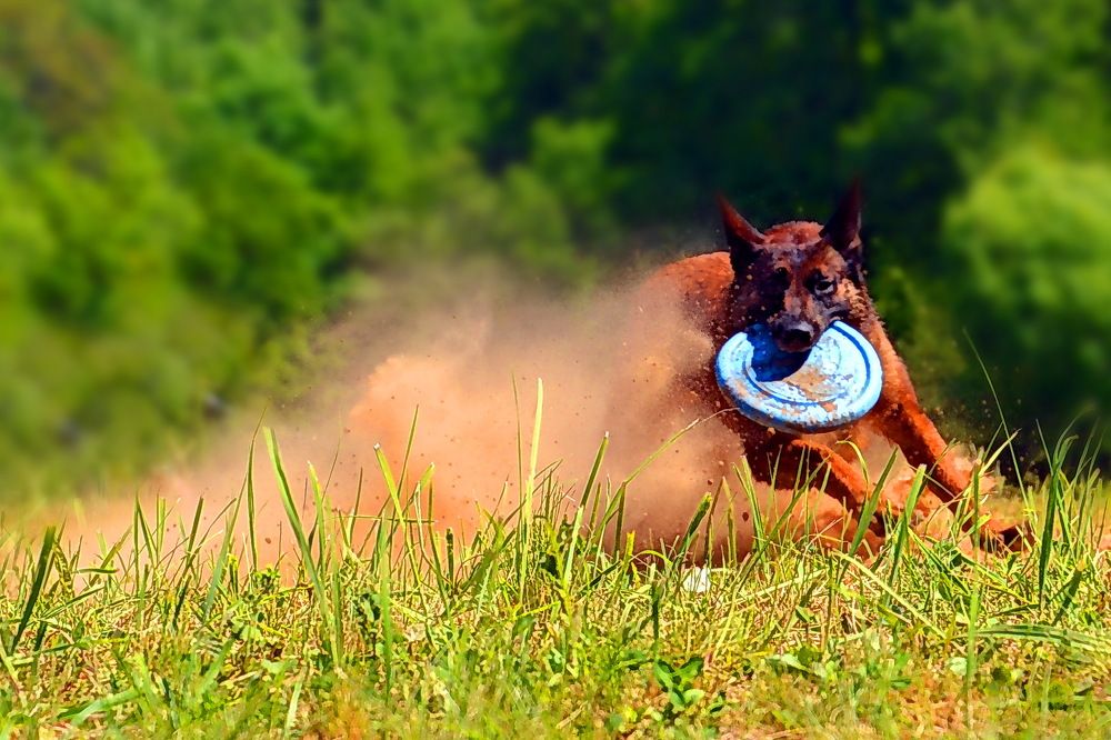 Photograph by Дмитрий Волков