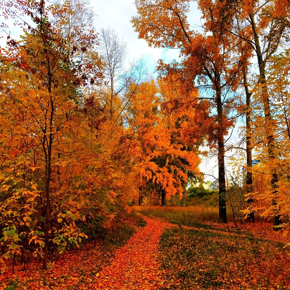 Photograph by Наталья Глек