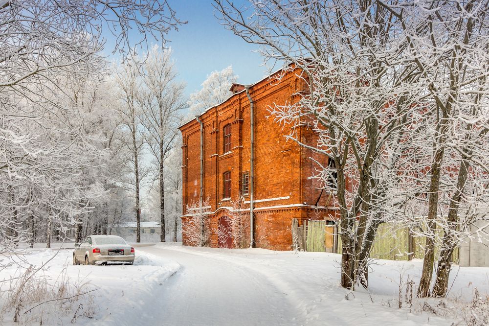 Photograph by Andrius