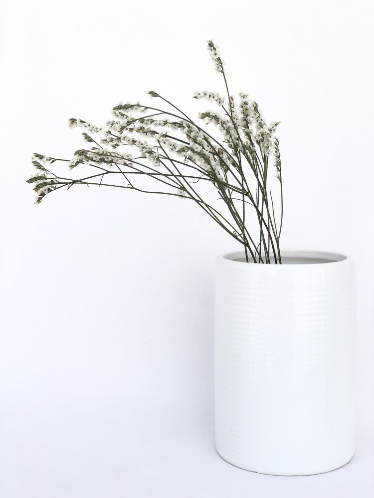 Photograph by Olesia Bulich