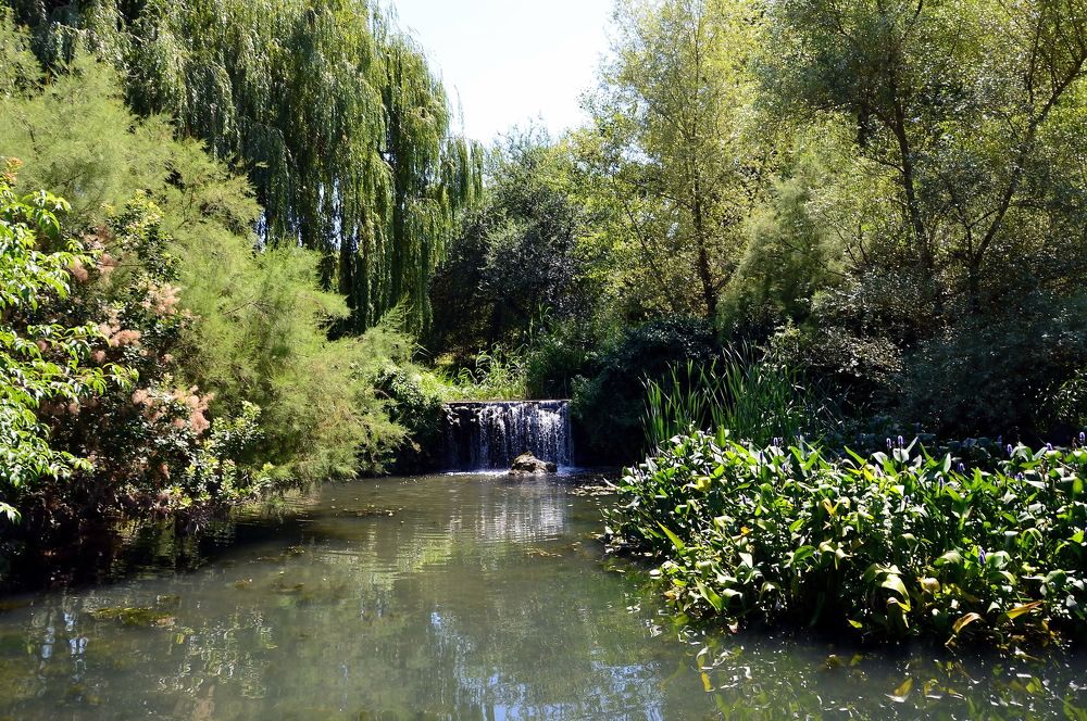 Photograph by Юрий Подвойский